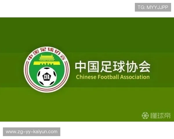 中国足球联合会正式发布年度发展规划蓝图，中国足球发展规划 体育总局