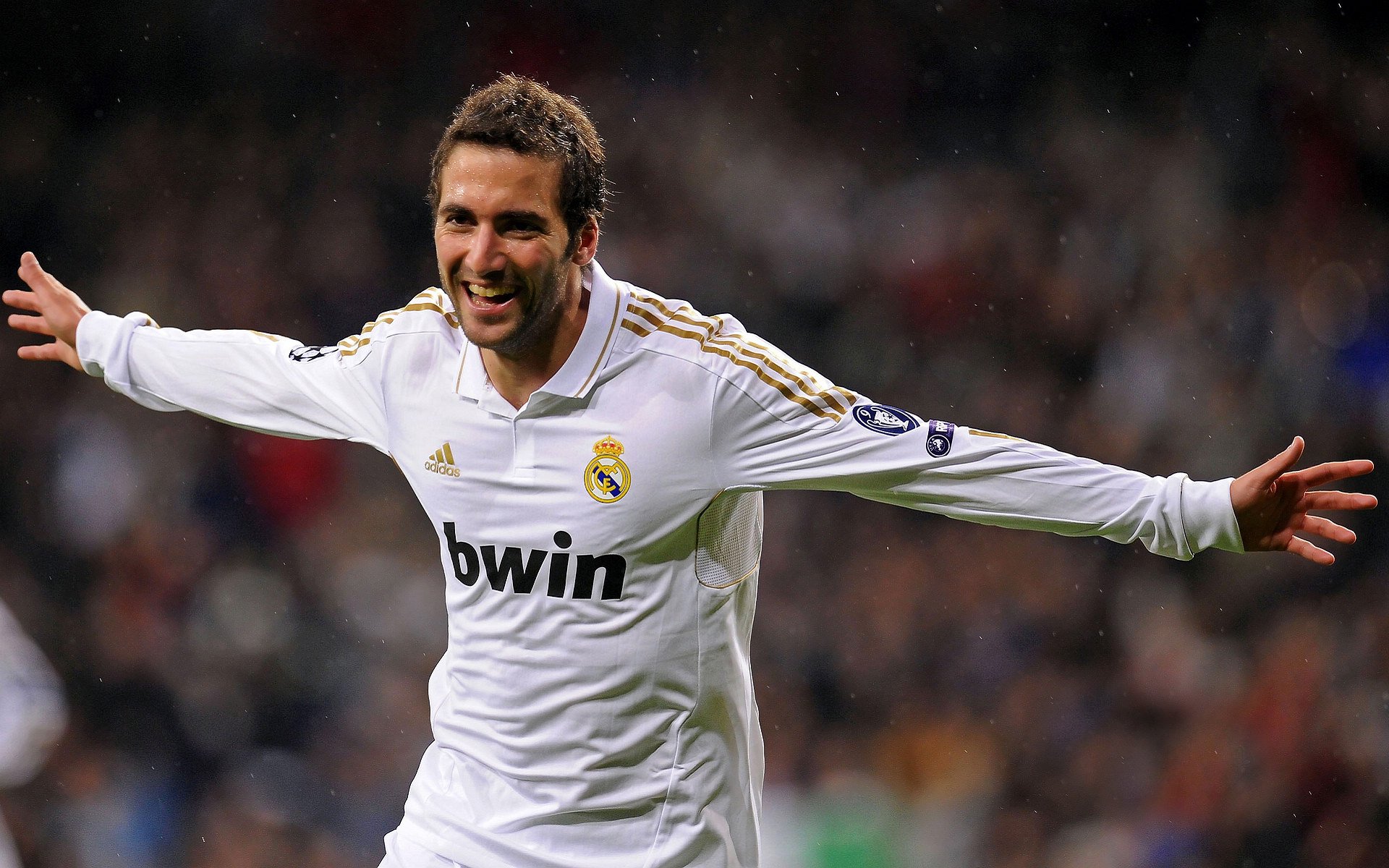 德甲球迷文化的多样化表现，球迷文化的见解